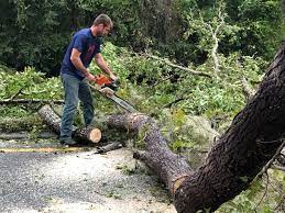 Best Aeration Services  in Homestead Meadows North, TX